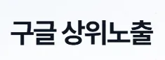 구글 상위노출
